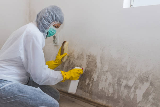 Water Damage Restoration in Princeville, HI