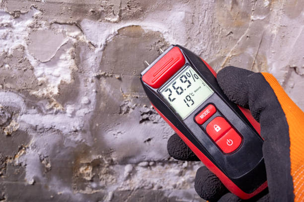 Best Mold Removal Company Near Me  in Princeville, HI